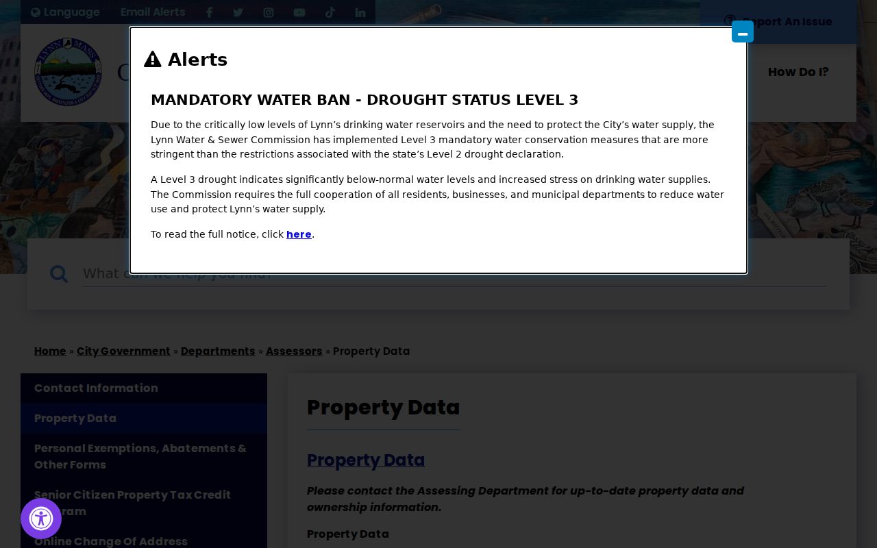 Lynn neighbors assessor property-data page for block research